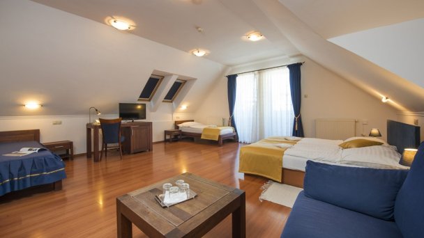 Hotel Amalia *** + Nová Lesná 26