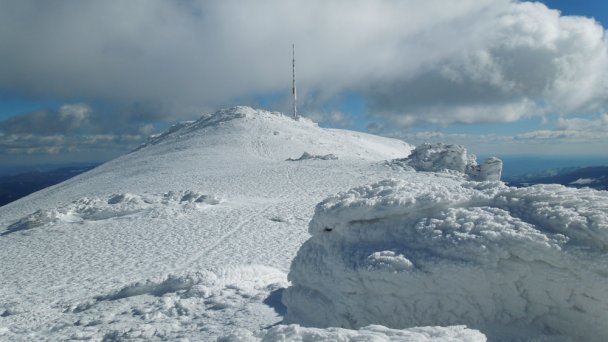 Kráľová hoľa, Niskie Tatry 4 źródło: https://sk.wikipedia.org/wiki/Kr%C3%A1%C4%BEova_ho%C4%BEa