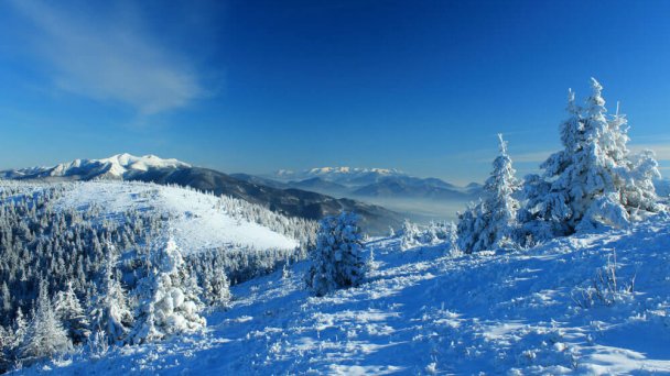 Minčol Malá Fatra 2 źródło: https://sk.wikipedia.org/wiki/Min%C4%8Dol_(vrch_v_Malej_Fatre)