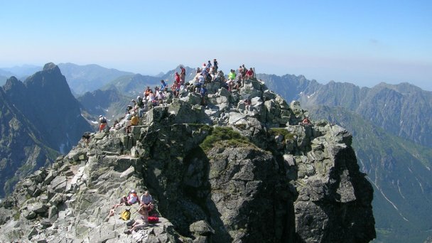 cechy 2 źródło: https://pl.wikipedia.org/wiki/Rysy