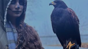 Sokoliarsky dvor Astur Red Stone 2