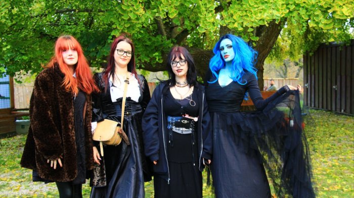 Sokoliarsky dvor Astur Red Stone