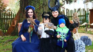 Sokoliarsky dvor Astur Red Stone 3