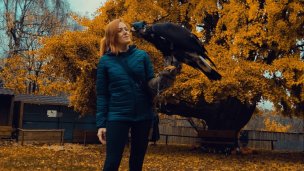 Sokoliarsky dvor Astur Red Stone 4