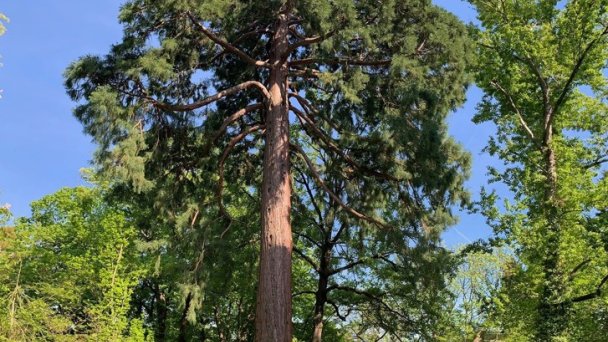 Botanická záhrada Banská Štiavnica 2 Autor: Astrologia & terapia by Meli źródło: https://scontent-vie1-1.xx.fbcdn.net/v/t1.0-9/s960x960/61019884_2270678616480876_9173601607936376832_o.jpg?_nc_cat=106&_nc_sid=110474&_nc_oc=AQki1zoqRvlmPiSQiozNBcJjJaNAQ-GWL0aMo1-m08oVOXGfplQ4SQ8EJt2pvx1NoEE&_nc_ht=scontent-vie1-1.xx&_nc_tp=7&oh=940d9909ded0401949174e3b507fc332&oe=5ECC346B Botanická záhrada Banská Štiavnica 2 Autor: Astrologia & terapia by Meli źródło: https://scontent-vie1-1.xx.fbcdn.net/v/t1.0-9/s960x960/61019884_2270678616480876_9173601607936376832_o.jpg?_nc_cat=106&_nc_sid=110474&_nc_oc=AQki1zoqRvlmPiSQiozNBcJjJaNAQ-GWL0aMo1-m08oVOXGfplQ4SQ8EJt2pvx1NoEE&_nc_ht=scontent-vie1-1.xx&_nc_tp=7&oh=940d9909ded0401949174e3b507fc332&oe=5ECC346B