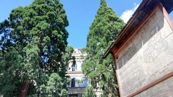 Botanická záhrada Banská Štiavnica 4 Autor: Viktor Kapety źródło: https://scontent-vie1-1.xx.fbcdn.net/v/t1.0-9/67426551_912472822418895_5970210566726221824_n.jpg?_nc_cat=100&_nc_sid=110474&_nc_oc=AQnaTvkKIIK2Xn-YG8cfqMi-ba1WGTbjsOiuJjDLyUU6e9LHTxN2ow5mp0nLfJ7y0So&_nc_ht=scontent-vie1-1.xx&oh=e6a8235fd76e584b3e68417630783edd&oe=5ECD983C&dl=1 Botanická záhrada Banská Štiavnica 4 Autor: Viktor Kapety źródło: https://scontent-vie1-1.xx.fbcdn.net/v/t1.0-9/67426551_912472822418895_5970210566726221824_n.jpg?_nc_cat=100&_nc_sid=110474&_nc_oc=AQnaTvkKIIK2Xn-YG8cfqMi-ba1WGTbjsOiuJjDLyUU6e9LHTxN2ow5mp0nLfJ7y0So&_nc_ht=scontent-vie1-1.xx&oh=e6a8235fd76e584b3e68417630783edd&oe=5ECD983C&dl=1