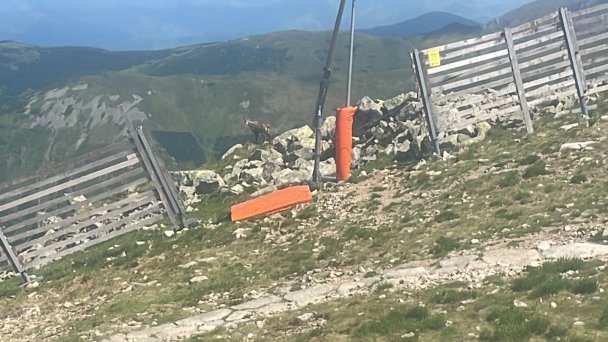 Chopok Niskie Tatry 20