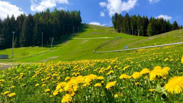 Fun park Žiarce 3 źródło: https://scontent-vie1-1.xx.fbcdn.net/v/t1.0-9/18556303_1355859777832344_8405545061799861892_n.jpg?_nc_cat=106&_nc_sid=2d5d41&_nc_oc=AQneO14gg5pkzef6feVVe003sZoUXl-GBCjPAGot_RaX6RJDywT1D_XMUaB9yruH7QU&_nc_ht=scontent-vie1-1.xx&oh=72c37443c862fd8fb15121da4e36fd3d&oe=5EC987BE&dl=1