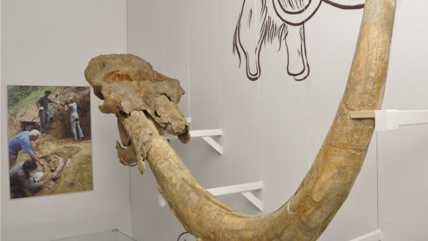 Muzeum Balrychologiczne Imricha Zimy w Pieszczanach 5