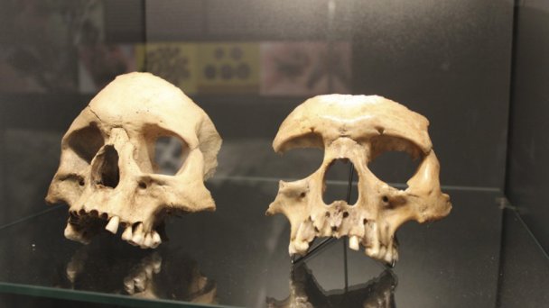 Słowackie Muzeum Ochrony Przyrody i Speleologii 3