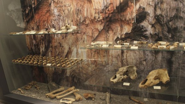 Słowackie Muzeum Ochrony Przyrody i Speleologii 4