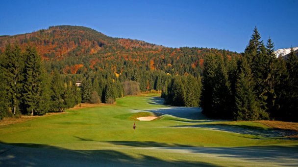 Golf Tále, pole golfowe Gray Bear 4