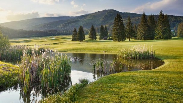 Golf Tále, pole golfowe Gray Bear 3