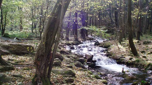 Domek pod Končitou 3
