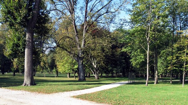 Budatinský zámocky park Autor: julo źródło: https://upload.wikimedia.org/wikipedia/commons/thumb/3/38/Budatin%2C_zamocky_park_2012-1.jpg/1920px-Budatin%2C_zamocky_park_2012-1.jpg