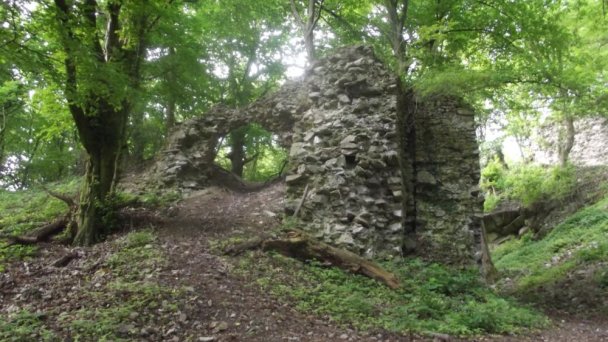 Hrad BIely Kameň Autor: hrady-zamky.sk źródło: https://www.hrady-zamky.sk/obrazky/biely-kamen/biely-kamen2.jpg