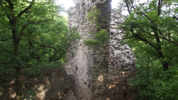 Hrad Biely Kameň Autor: hrady-zamky.sk źródło: https://www.hrady-zamky.sk/obrazky/biely-kamen/biely-kamen8.jpg