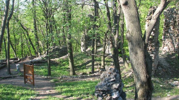 Hrad Ostrý Kameň Autor: Ján Sokoly źródło: https://www.flickr.com/photos/cruster/3518307071/sizes/l/