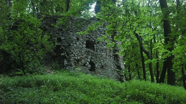 Hrad Ostrý Kameň Autor: I, Doronenko źródło: https://upload.wikimedia.org/wikipedia/commons/a/ab/Ostry_kamen_1.jpg