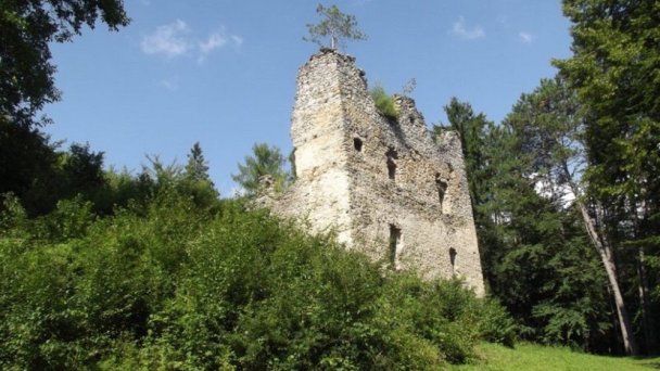 hrad sklabina 4 Autor: hrady-zamky.sk źródło: https://www.hrady-zamky.sk/obrazky/sklabina/sklabina17.jpg
