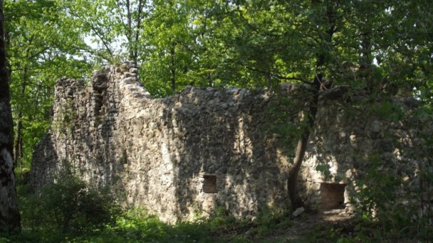 Hrad Muráň Autor: hrady-zamky.sk źródło: https://www.hrady-zamky.sk/obrazky/muran/muran6.jpg