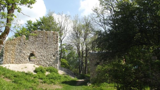 Hrad Muráň Autor: hrady-zamky.sk źródło: https://www.hrady-zamky.sk/obrazky/muran/muran9.jpg