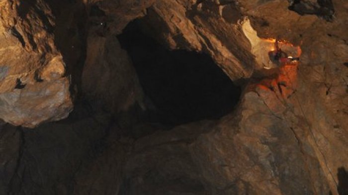 Jaskinia martwych nietoperzy