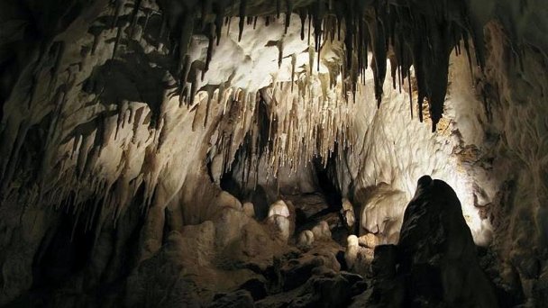 Pružinská Dupná jaskyňa Autor: Facebook źródło: https://scontent.fbts7-1.fna.fbcdn.net/v/t1.0-9/22528001_1540231689401499_8990027666433707181_n.jpg?_nc_cat=109&ccb=2&_nc_sid=cdbe9c&_nc_ohc=J4ESG2kj3HcAX96nWRj&_nc_ht=scontent.fbts7-1.fna&oh=441e8c93e4307a37918ba12beab15a6f&oe=5FFF1FC5