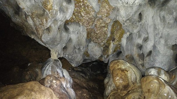 Pružinská Dupná jaskyňa Autor: Facebook źródło: https://scontent.fbts7-1.fna.fbcdn.net/v/t1.0-9/116423956_280421639910067_3562590826292239423_o.jpg?_nc_cat=100&ccb=2&_nc_sid=730e14&_nc_ohc=TBWeujJhmp8AX-Lg87J&_nc_ht=scontent.fbts7-1.fna&oh=297ed28388eb3ba5b3116bfd7dceecb0&oe=6002F9D3