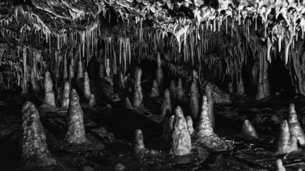 Važecká jaskyňa 5 Autor: Jaroslav Moravcik, Pro-Mo photography źródło: https://scontent-vie1-1.xx.fbcdn.net/v/t1.0-0/p640x640/49707154_2275843565759534_540978730391044096_o.jpg?_nc_cat=111&_nc_sid=e007fa&_nc_oc=AQmBU31HywEnFrTVqo0qE7oCicbjiD18x-chChs1LsEt5YxgPECJrh3xkks83_lNmkc&_nc_ht=scontent-vie1-1.xx&_nc_tp=6&oh=000745c8cd0ff26a15b261325b6aebcc&oe=5EC8E498