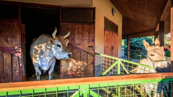 Ranč u Bobiho - Gazdovský dvor źródło: https://www.bobiranc.sk/wp-content/gallery/Hlavn%C3%A1-gal%C3%A9ria/thumbs/thumbs_Ranc-u-Bobiho-Gazdovsky-dvor-1.jpg Ranč u Bobiho - Gazdovský dvor źródło: https://www.bobiranc.sk/wp-content/gallery/Hlavn%C3%A1-gal%C3%A9ria/thumbs/thumbs_Ranc-u-Bobiho-Gazdovsky-dvor-1.jpg