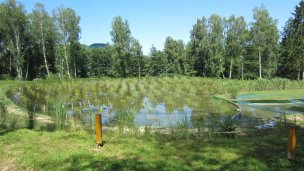Ekologiczny basen Sninské rybníky 2 źródło: https://sk.wikipedia.org/wiki/Sninsk%C3%A9_rybn%C3%ADky
