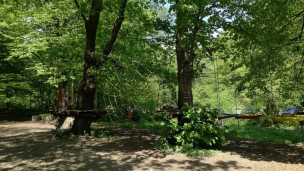 Tarzania Alpinka 6 źródło: https://scontent-vie1-1.xx.fbcdn.net/v/t31.0-8/p720x720/18238071_1069958689803380_1824936833695717660_o.jpg?_nc_cat=105&_nc_sid=110474&_nc_oc=AQkP5GtvnkcHXZ4S5n69gR-8Ra9YK90LC8OJgCxxSDtl-KQwJYNox40VoUF_9c7nLKE&_nc_ht=scontent-vie1-1.xx&_nc_tp=6&oh=0667647f464560980da0070aefa202da&oe=5EC908A9