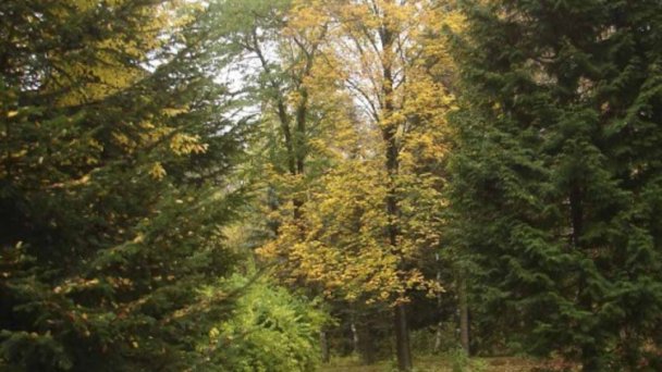 Arboretum - Liptovský Hrádok 2