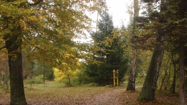 Arboretum - Liptovský Hrádok 4