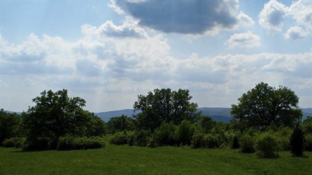 Gaj dębowy Gavurky Dobrá Niva 3 Autor: Juraj Paller źródło: http://www.vypadni.sk/sk/panonsky-haj-gavurky