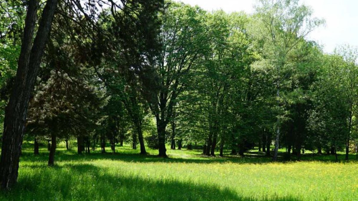 Park historyczny Snina 2 źródło: https://www.snina.sk/mesto/pamiatky-a-pamatihodnosti/pamiatky/historicky-park-pri-kastieli/