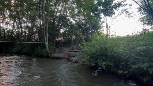 Žilinský Baťov kanál, plavby na člnoch po biokoridore pri Vodnom diele 5