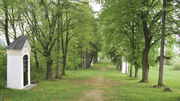 Kalwaria na wzgórzu Bobrovsky 5