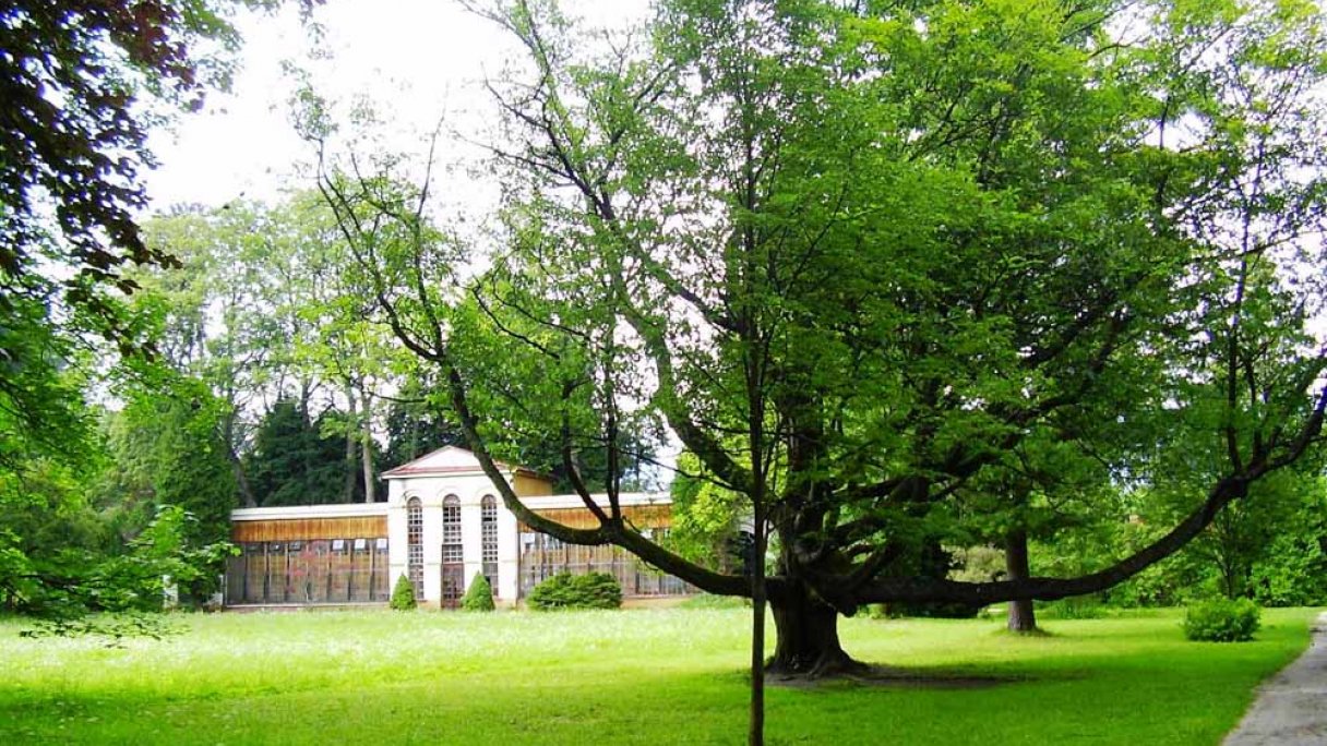 Arboretum - Park Turčianska Štiavnička 1 źródło: https://sk.wikipedia.org/wiki/Tur%C4%8Dianska_%C5%A0tiavni%C4%8Dka