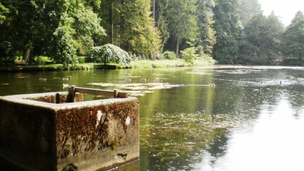 Arboretum - Park Turčianska Štiavnička 4 źródło: https://sk.wikipedia.org/wiki/Tur%C4%8Dianska_%C5%A0tiavni%C4%8Dka