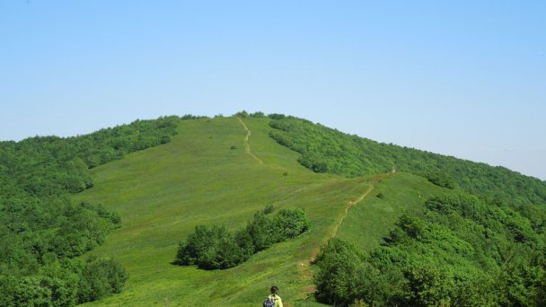Pohľad na nedaleký vrchol Ďurkovec źródło: https://sk.wikipedia.org/wiki/Kremenec_(vrch_v_Bukovsk%C3%BDch_vrchoch)