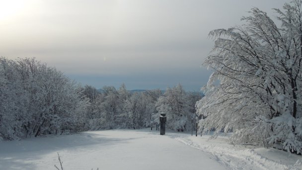 Kremenec v zime źródło: https://sk.wikipedia.org/wiki/Kremenec_(vrch_v_Bukovsk%C3%BDch_vrchoch)