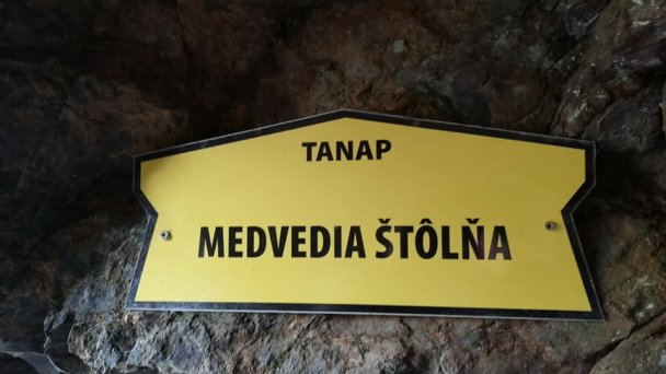 Medvedia štôlňa Autor: Adriána Majka źródło: https://scontent.fbts7-1.fna.fbcdn.net/v/t1.0-9/75464215_10211835699207190_6909325713120165888_n.jpg?_nc_cat=105&ccb=2&_nc_sid=b9115d&_nc_ohc=z-INb7WpjoIAX8KuMMF&_nc_ht=scontent.fbts7-1.fna&oh=8a414743ed38992fc13431ac3e6041e6&oe=5FE4932B