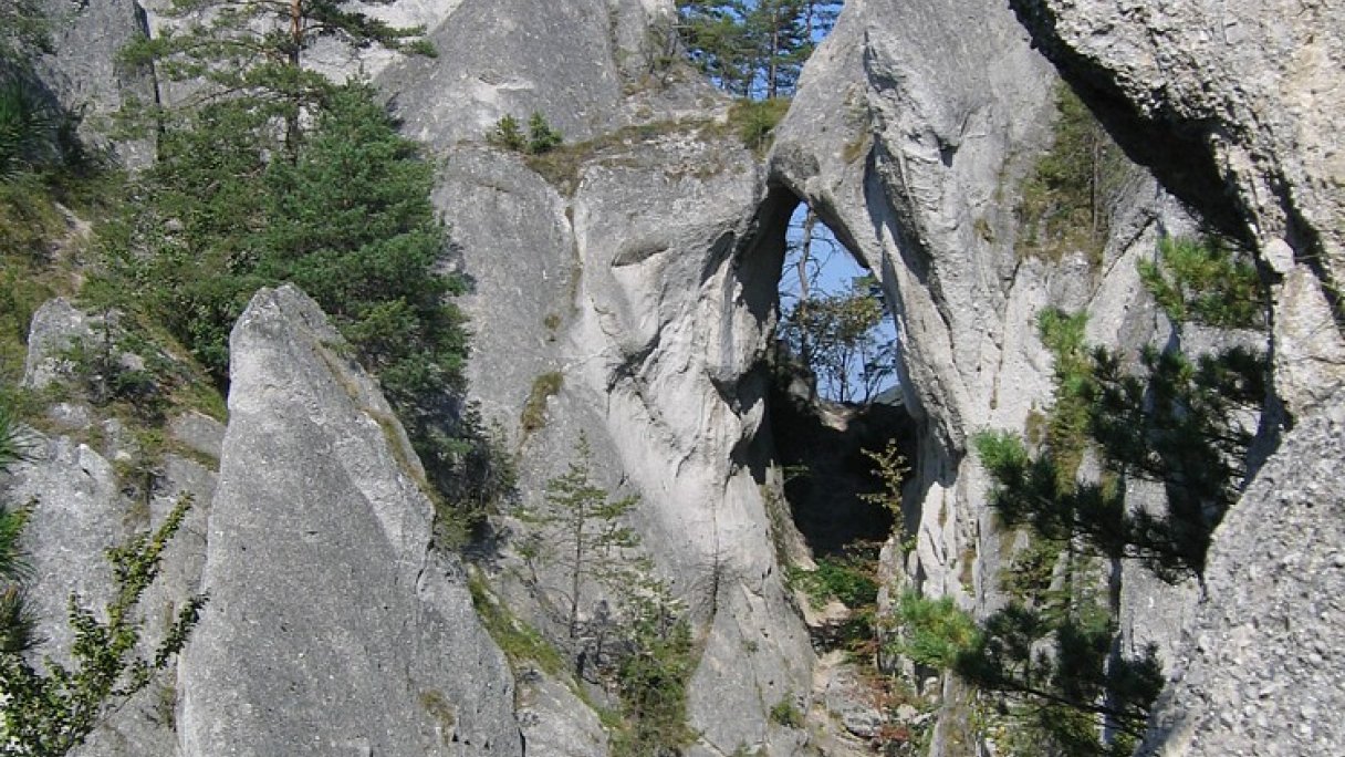 Súľovské skaly Autor: Julom źródło: https://upload.wikimedia.org/wikipedia/commons/7/77/Sulovske_skaly-goticka-brana-1.jpg