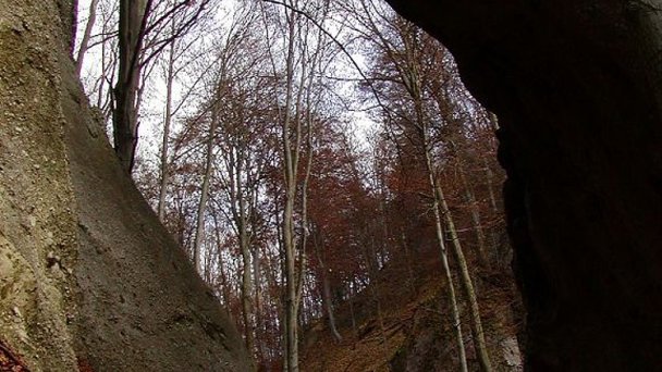 Súľovské skaly Autor: Martin Hlauka źródło: https://upload.wikimedia.org/wikipedia/commons/d/d4/Obrovska_brana_-_Sulovske_skaly.jpg