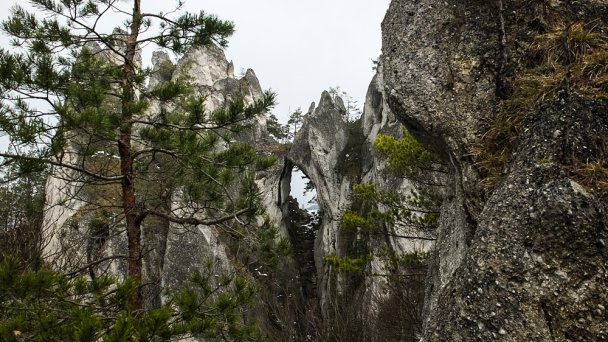 Súľovské skaly Autor: Ebs Els źródło: https://www.flickr.com/photos/ebsels/16883003110/sizes/l/