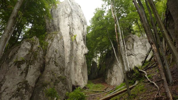 Súľovské skaly Autor: Marzper źródło: https://upload.wikimedia.org/wikipedia/commons/7/72/Sulovske_skaly_9.JPG