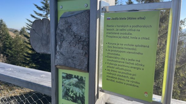 Chodnik wśród koron drzew Bachledki 12
