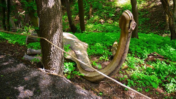 Dino Park Autor: DinoTeam źródło: https://upload.wikimedia.org/wikipedia/commons/3/30/Diplodocus%2C_DinoPark_Ko%C5%A1ice.jpg